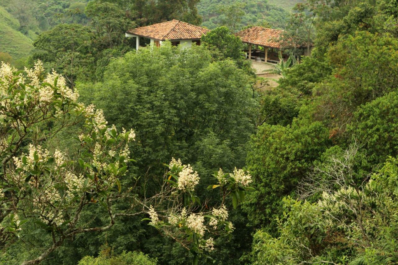 Eco Hotel El Columpio Salento Exteriör bild